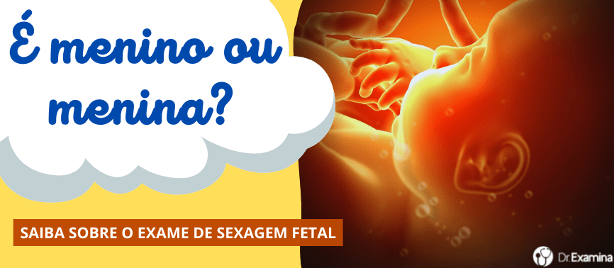 Sexagem Fetal – O Exame Para Saber o Sexo do Bebê